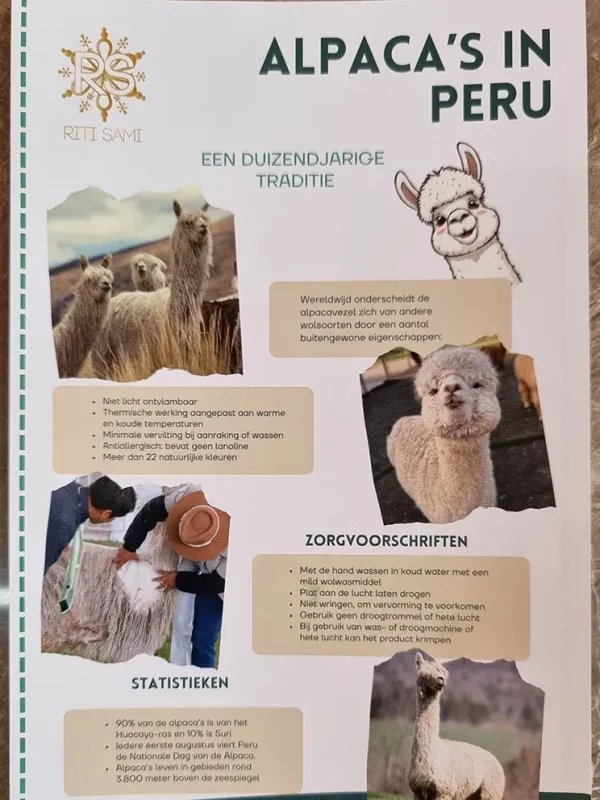 Alpaca knuffel Aymara - Afbeelding 6